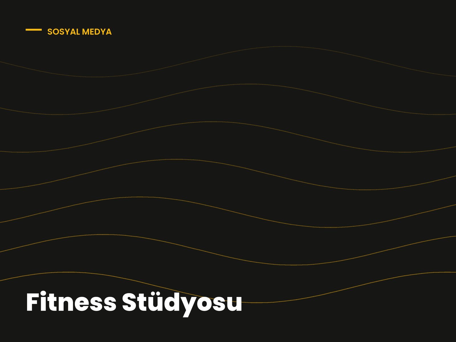 Fitness Stüdyosu — Sosyal Medya ve Reklam